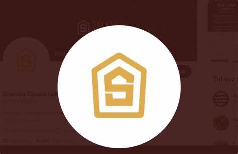 什么是Shentu(CTK)币-第1张图片-欧意易易下载