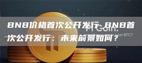 BNB价格首次公开发行_BNB首次公开发行：未来前景如何？