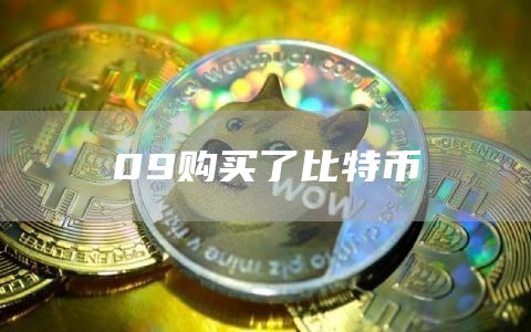 09购买了比特币