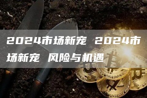 2024市场新宠 2024市场新宠 风险与机遇