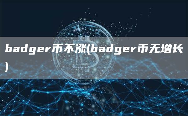 badger币不涨 - badger币无增长