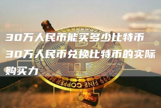 30万人民币能买多少比特币 30万人民币兑换比特币的实际购买力