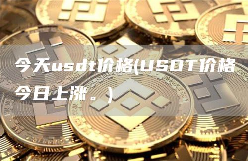 今天usdt价格 - USDT价格今日上涨。