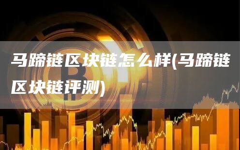 马蹄链区块链怎么样 - 马蹄链区块链评测