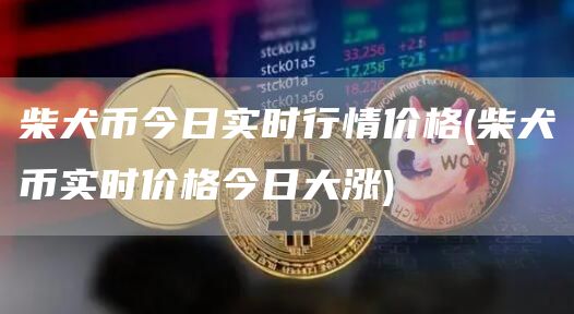 柴犬币今日实时行情价格 - 柴犬币实时价格今日大涨