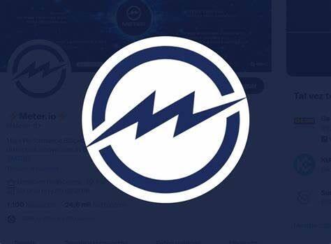 什么是Meter Governance(MTRG)币-第1张图片-欧意易易下载