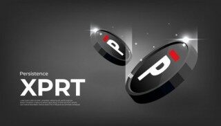 什么是Prsistnc(PRT)币