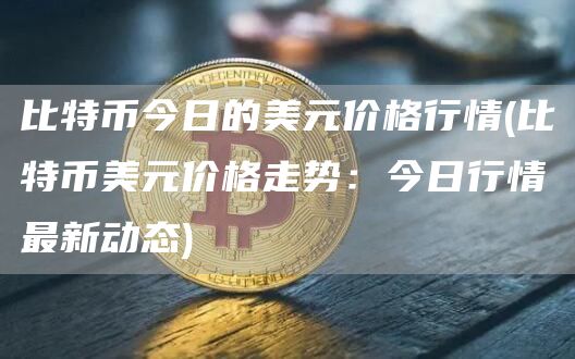 比特币今日的美元价格行情 - 比特币美元价格走势：今日行情最新动态