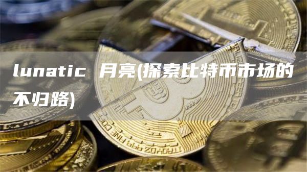 lunatic 月亮 - 探索比特币市场的不归路