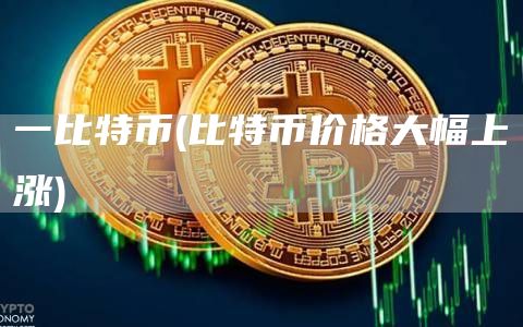一比特币 - 比特币价格大幅上涨