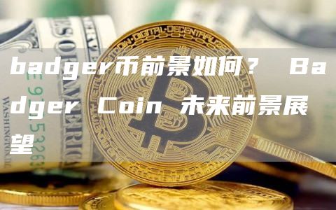 badger币前景如何？ Badger Coin 未来前景展望