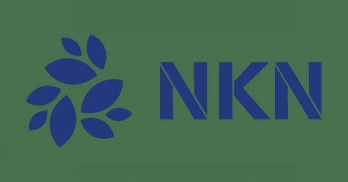 什么是NKN币-第1张图片-欧意易易下载