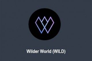 什么是Wildr World(WILD)币