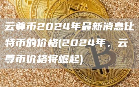 云尊币2024年最新消息比特币的价格 - 2024年，云尊币价格将崛起
