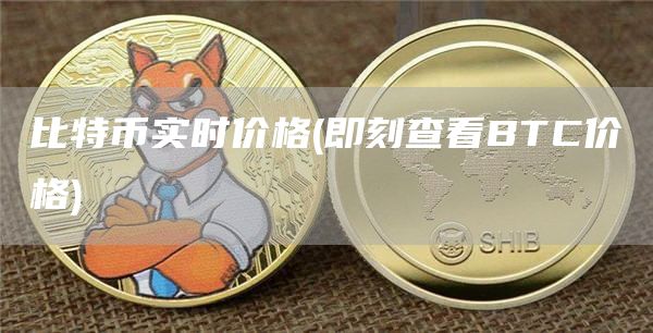 比特币实时价格 - 即刻查看BTC价格