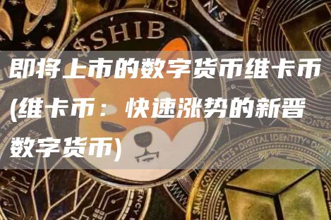 即将上市的数字货币维卡币 - 维卡币：快速涨势的新晋数字货币
