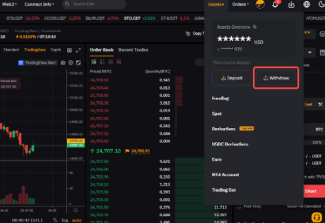 Bybit如何链上提币-第2张图片-欧意易易下载
