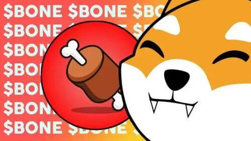 什么是Bone ShibaSwap(BONE)币-第1张图片-欧意易易下载 什么是Bone ShibaSwap(BONE)币-第1张图片-欧意易易下载