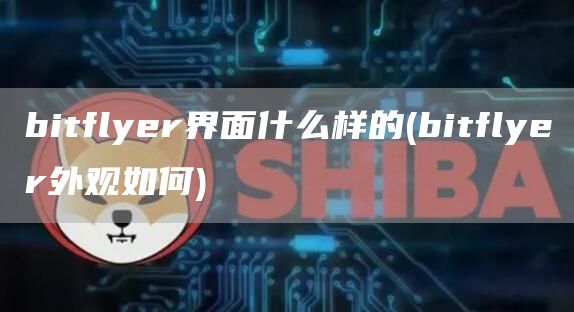 bitflyer界面什么样的 - bitflyer外观如何