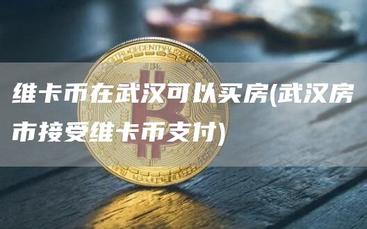 维卡币在武汉可以买房 - 武汉房市接受维卡币支付