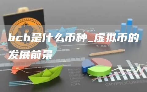 bch是什么币种_虚拟币的发展前景