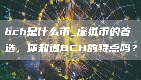 bch是什么币_虚拟币的首选，你知道BCH的特点吗？