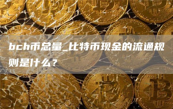 bch币总量_比特币现金的流通规则是什么？