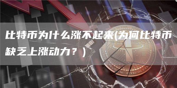 比特币为什么涨不起来 - 为何比特币缺乏上涨动力？