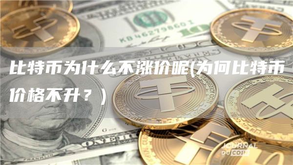 比特币为什么不涨价呢 - 为何比特币价格不升？
