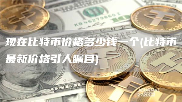 现在比特币价格多少钱一个 - 比特币最新价格引人瞩目