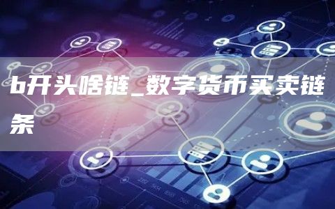 b开头啥链_数字货币买卖链条