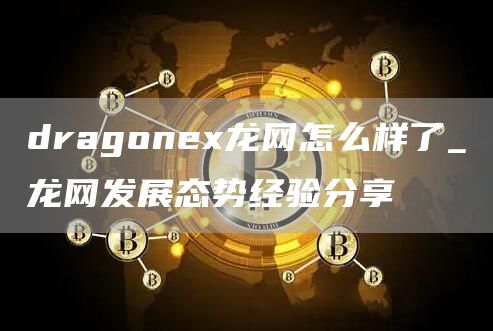 dragone龙网怎么样了_龙网发展态势经验分享