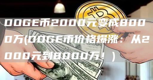 DOGE币2000元变成8000万 - DOGE币价格爆涨：从2000元到8000万！