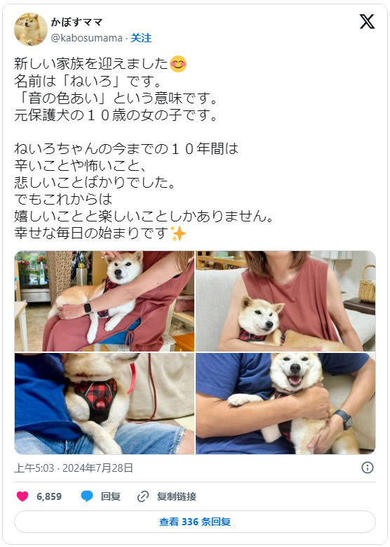 neiro币是什么 可以购买neiro币的交易所推荐-第2张图片-欧意易易下载