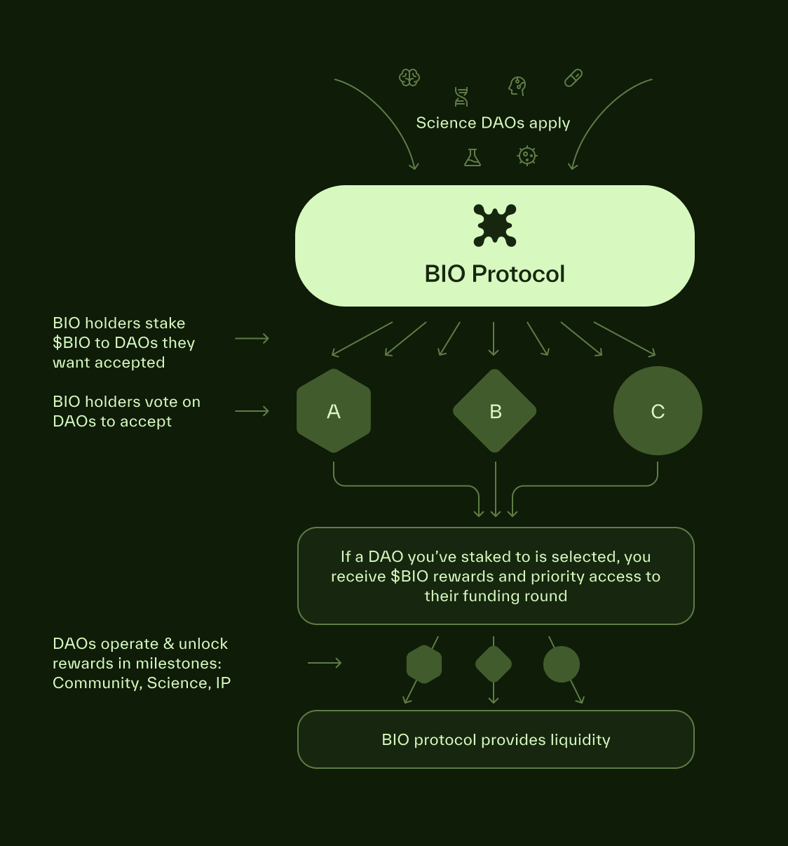 探究链上科学孵化器BIO Protocol为何能获得Binance Labs青睐？-第5张图片-欧意易易下载