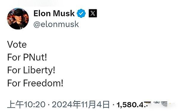 PNUT币2025年能涨多高？一文分析PNUT最近为何暴涨？-第7张图片-欧意易易下载