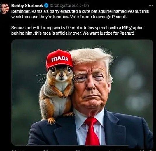 PNUT币2025年能涨多高？一文分析PNUT最近为何暴涨？-第8张图片-欧意易易下载