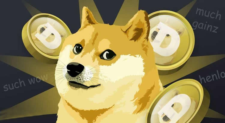 狗狗币暴涨是哪一年 详解狗狗币总共暴涨了多少倍-第2张图片-欧意易易下载