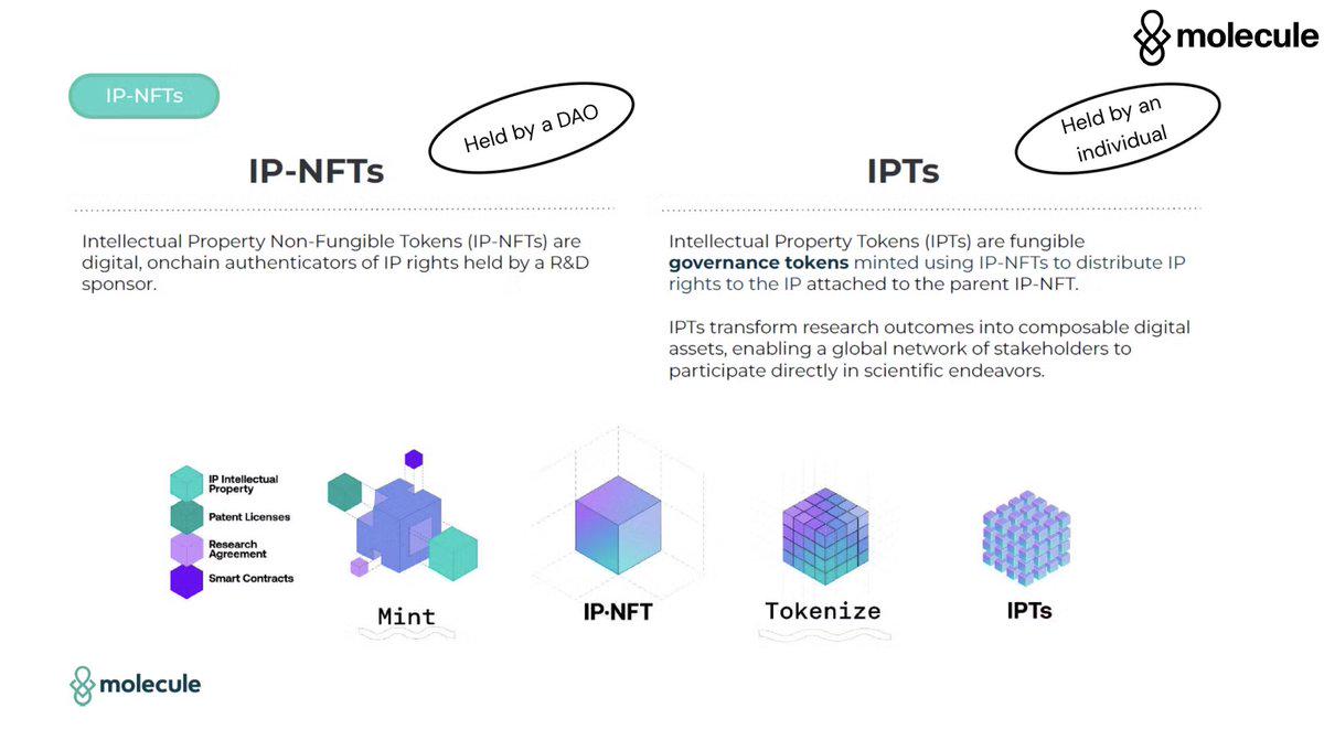 BIO Protocol创始人发文解读DeSci，即将在Launchpad推出三个项目-第4张图片-欧意易易下载